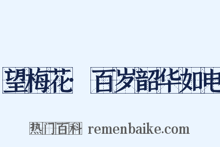 望梅花·百岁韶华如电是什么意思的图片